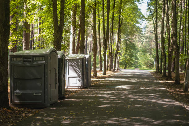Best Porta potty rental near me  in Todd Creek, CO